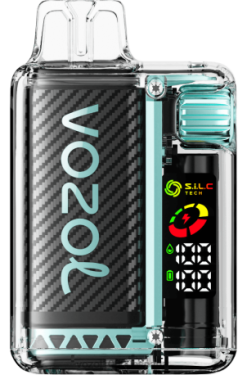 VOZOL VISTA 16000/20000 menta de miami 06VB89 - Vozol Vape Precio